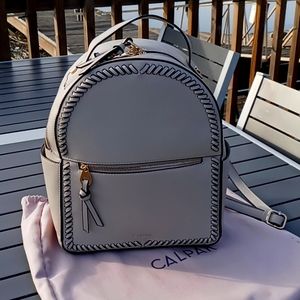 COPY - Calpak Backpack